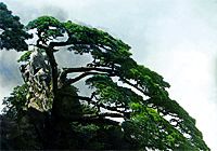 安徽·黄山