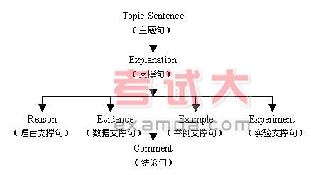 四级新题型应对：名师指导高分写作策略